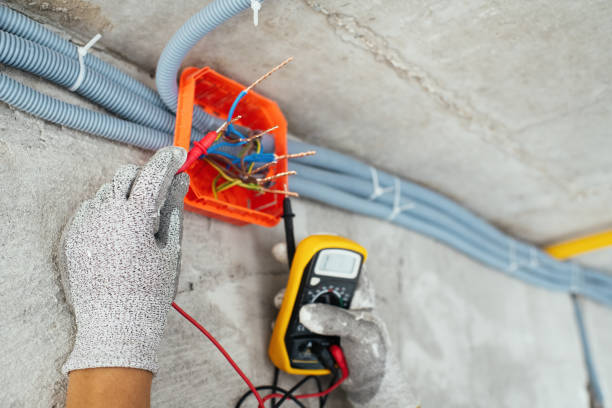 Best Ceiling Fan Installation Electrician  in Jackson, WI